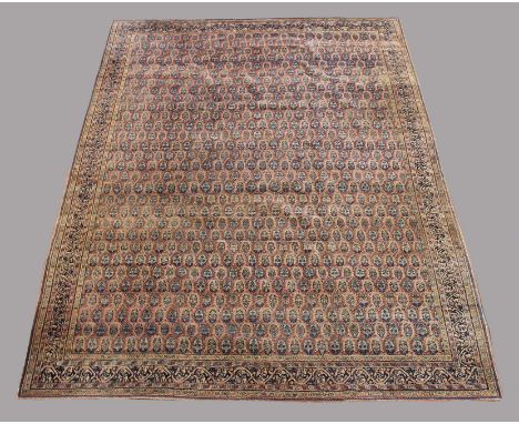 FERAGHAN CARPET West Iran, circa 1920, the soft madder field with an allover design of boteh enclosed by narrow meandering vi