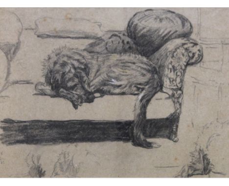 CECIL ALDIN (1870-1935) WOLFHOUND ASLEEP ON A SOFA Bears monogram, black crayon 21.5 x 29cm. * Probably Mickey, the artist's 