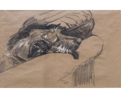 CECIL ALDIN (1870-1935) WOLFHOUND ON A SOFA Bears signature, black crayon heightened with white bodycolour 18 x 27cm. * Possi