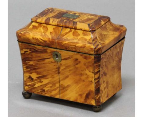REGENCY TORTOISESHELL TEA CADDY, with twin canister interior, height 15cm, width 17cm, depth 11cm