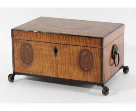 SATINWOOD TEA CADDY 18th century with shell inlay, the interior with twin lidded compartments, on brass ball and claw feet, h