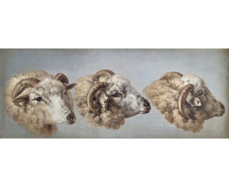 ATTRIBUTED TO EUGENE JOSEPH VERBOECKHOVEN (1798-1881) STUDY OF THREE SHEEP HEADS Oil on panel 11 x 28cm. ++ Needs a light cle