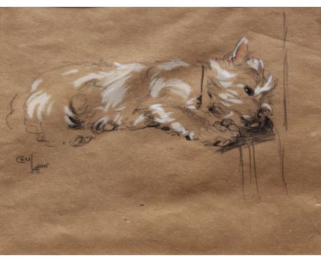 CECIL ALDIN (1870-1935) SEALYHAM TERRIER (BUNCH?), RESTING Bears signature, black and red crayon heightened with white bodyco