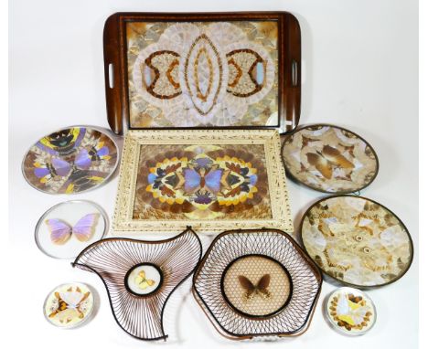 A collection of decorative butterfly wings compositions, to include a Brazilian tea tray, mahogany with fruitwood inlay, a fr