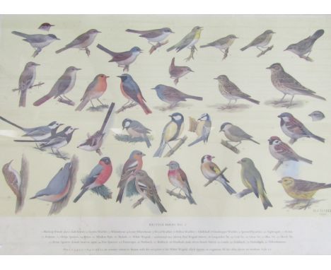 Two RSPB bird identification posters, British Birds No.1 and No.2, with Ryman &amp; Co Art Dealers label verso, circa 1960's,