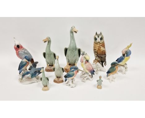 Collection of Karl Ens porcelain models of birds, including kingfishers, parrots and owl, printed blue and green marks, impre