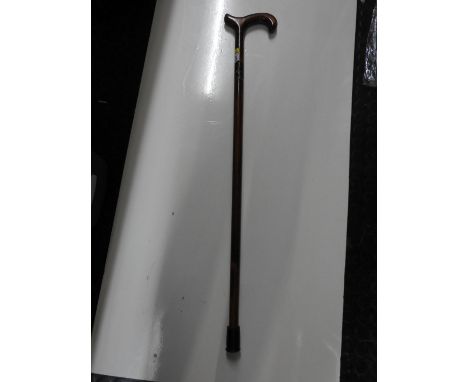 Walking Stick 