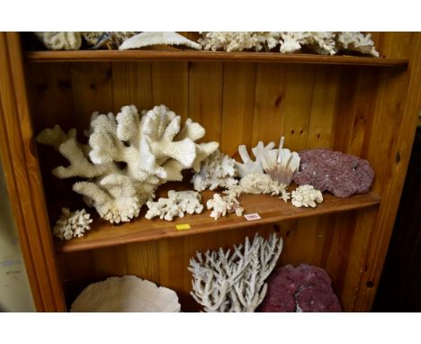 A collection of coral specimens and similar.&nbsp;(One shelf) 