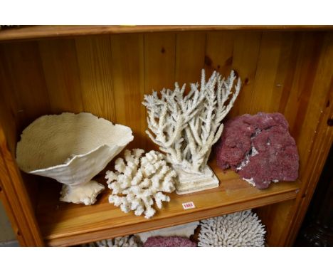 A collection of coral specimens and similar.&nbsp;(One shelf)&nbsp; 