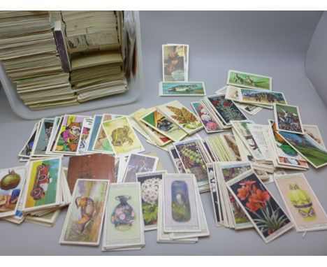 A box of mixed cigarette cards, examples include the Nose Game, Film Favourites, Flowering Trees and Shrubs, British Birds, P
