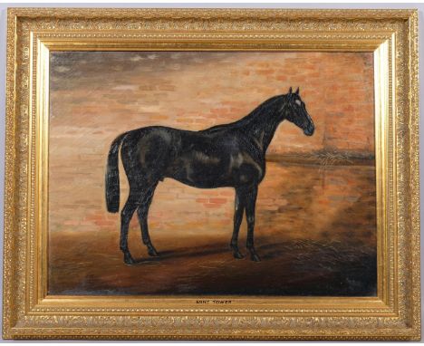 Tim Whitby, horse portrait of Mint Tower, oil on canvas, signed, 60cm x 46cm, framedThe picture has 2 patch repairs and has b