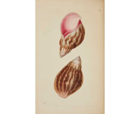 Shaw, George and Frederick P. Nodder The Naturalist's Miscellany The Naturalist's Miscellany: or Coloured Figures of Natural 