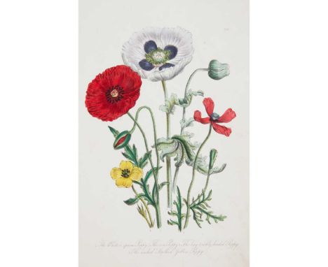 3 volumes, comprising Loudon, Mrs British Wild Flowers. London: W. S. Orr, [1849 ]. Second edition, 4to, 60 hand-coloured lit