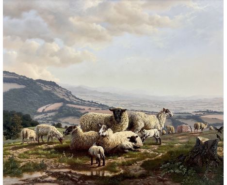 Daniel Van der Putten (Dutch 1949-): 'Sheep and Lambs on Broadway Hill - Cotswolds', oil on panel signed and dated 1985, titl