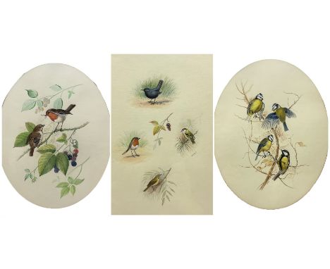 John Reed (British 20th century): Robin and other Bird Studies, three watercolours signed max 35cm x 28cm (3)Notes: Reed was 