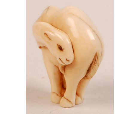 An ivory netsuke in the form of a camel, its legs hobbled, inlaid horn eye. 