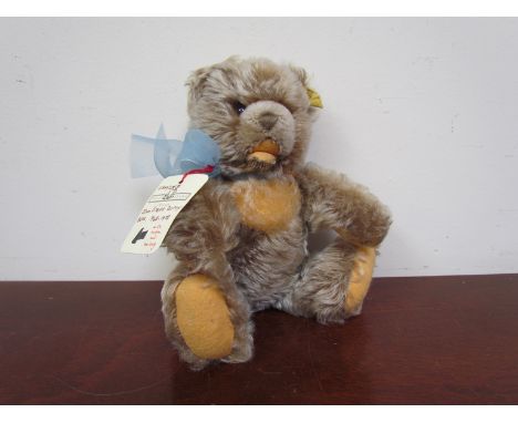 A Steiff Zotty bear, 18cm tall 