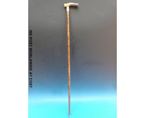 An Edwardian bamboo walking stick with a horn handle and hallmarked silver collar 