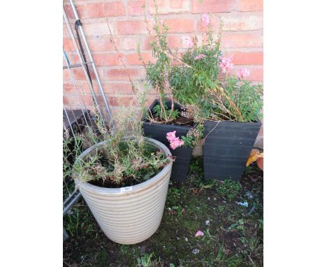 A PAIR OF TALL SQUARE MODERN PLANTERS AND A GREEN RIBBED CERAMIC PLANTER (3)