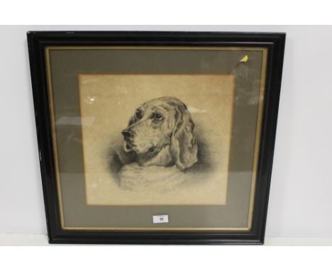 A FRAMED AND GLAZED PORTRAIT STUDY OF A SPANIEL DOG 33 X 35 CM
