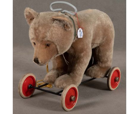 Steiff-Bär auf Rollen mit Zugstimme. Mit Knopf im Ohr, H=41 cm, B=52 cm, T=23 cm. (Funktion ungeprüft) **