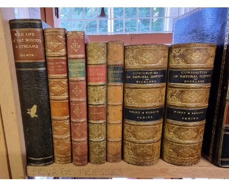 BINDINGS:&nbsp;NATURAL HISTORY: BUCKLAND (Francis): 'Curiosities of Natural History': London, Richard Bentley, 1890: series 1