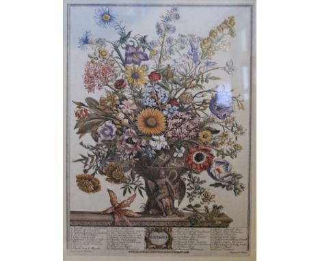 A set of four modern framed botanical "month" prints AFTER PIETER CASTEELS, together with various other prints