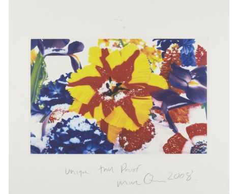 Marc Quinn,British b.1964-Six Moments of Sunrise, 2008;photopolymer etching in colours on wove,signed, dated and inscribed 'U
