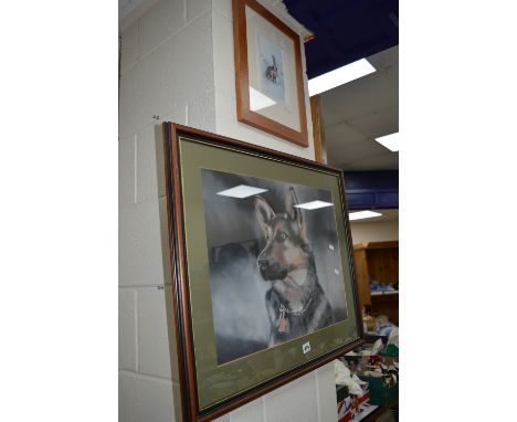 A PASTEL SKETCH OF A GERMAN SHEPHERD, 40cm x 54cm (not including mount), together with a print after Pamela Budge 'Brown Hare