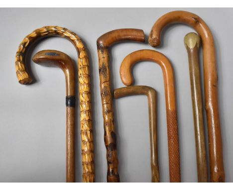 A Group of Seven Early 20th Century Walking Stick, Including a Sunday Morning Golf Stick, the Longest 102cm 