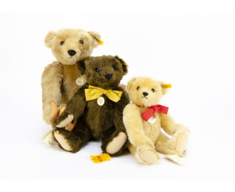 Three Steiff yellow tagged Classic Teddy Bears: two 1909 and one 1906 with tags —20 1/2in. (52cm.) high