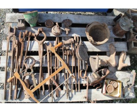 Large collection of tools including farrier/blacksmiths tools, woodworking plane, cobblers last, blowtorch etc. 