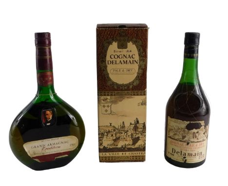 A bottle of Delamain cognac, and a bottle of Janneau Grand Armagnac. (2)