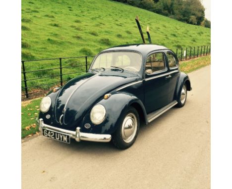 A 1961 left hand drive Volkswagen Beetle 1200, registration number 642 UYM, blue. The evergreen Beetle is as popular today wi