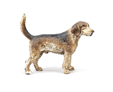Wiener Bronze um 1900, Beagle, polychrom kalt bemalte Bronze, unterseitig der Stempel von Fritz Bermann Wien, ber., H. 6 cm