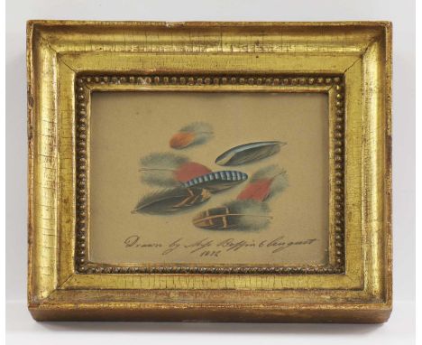 Sarah Biffin (1784-1850)Study of feathersinscribed in pen 'Drawn by Miss Biffin, 6th August 1812', watercolour10.3 x 12cm;tog