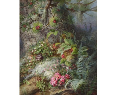 Maria Teresa Hegg (1829-1911)Wild ferns and flowers at the base of a treesigned and inscribed 'Teresa. Hegg/Vevey' l.r., wate