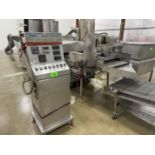 Continuous Fryer