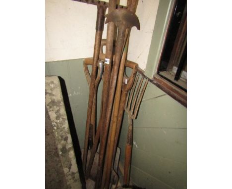 A collection of mainly vintage long handled ash wood garden tools including spades, forks, etc