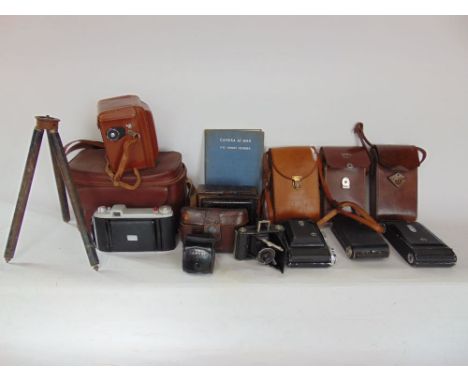 A box containing a collection of vintage cameras and photographic equipment