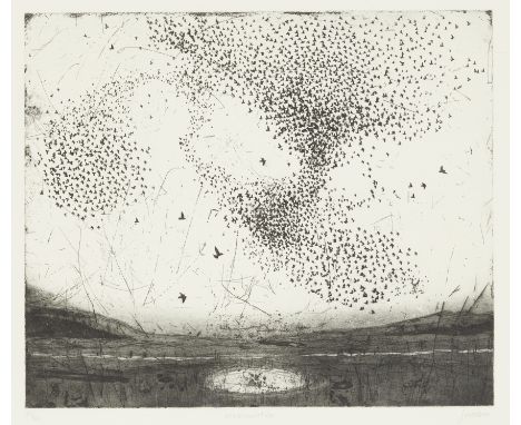 Fiona Watson,&nbsp;Canadian b.1952- Murmuration;&nbsp;etching on wove,&nbsp;signed, titled and numbered 38/40 in pencil,&nbsp