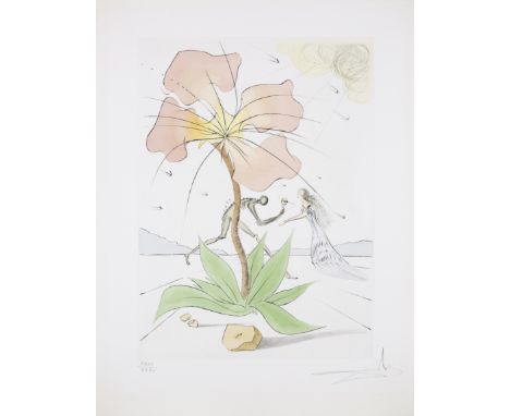 Salvador Dalí,  Spanish 1904-1989,Reuben, from the Twelve tribes of Israel, 1973;etching and pochoir colouring on Arches wove