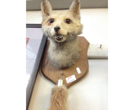 A TAXIDERMY FOX HEAD AND TAIL. R