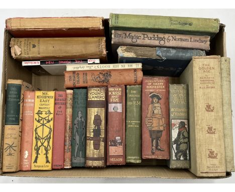 A collection of books mainly on the subject of children's literature and adventure including Peter Pan and Wendy, The Golden 