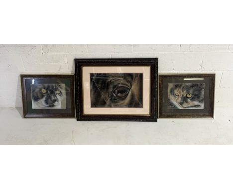 Two framed cat portraits signed "A Davidson" and a close-up portrait of a horse's eye signed "A Davidson 2006"