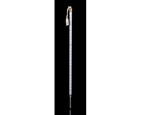 Quick thermometer. Temperature thermometer. Also a Quick thermometer but now a range of twelve to 40 degrees, 37 cm long
