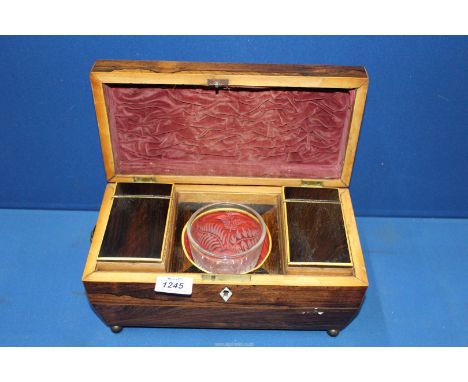 A Regency Rosewood sarcophagus shaped Tea Caddy with lion mask handles, on brass bun feet, 12'' wide x 6'' deep x 7'' high, e