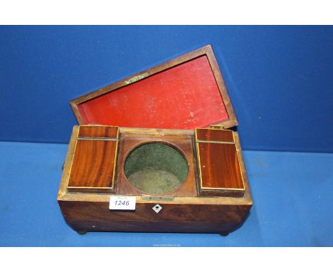 A Regency Mahogany sarcophagus Tea Caddy on brass bun feet, 12'' wide x 7 1/2'' high x 6'' deep.