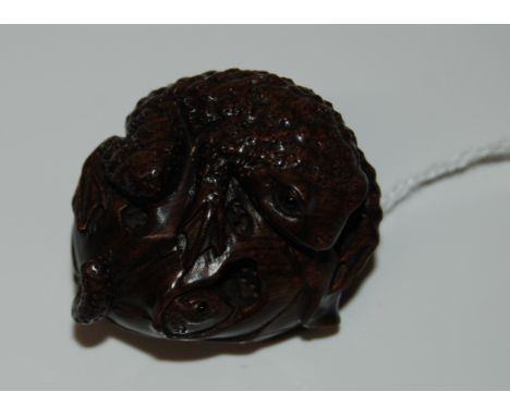 2ND QUARTER 20THC CARVED WOOD JAPANESE NETSUKE, A FINE STUDY OF A TOAD RESTING UPON A LARGE LEAFY POD WITH A SNAKE HIDDEN INS