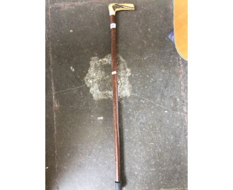 HORN HANDLED WALKING STICK    T4